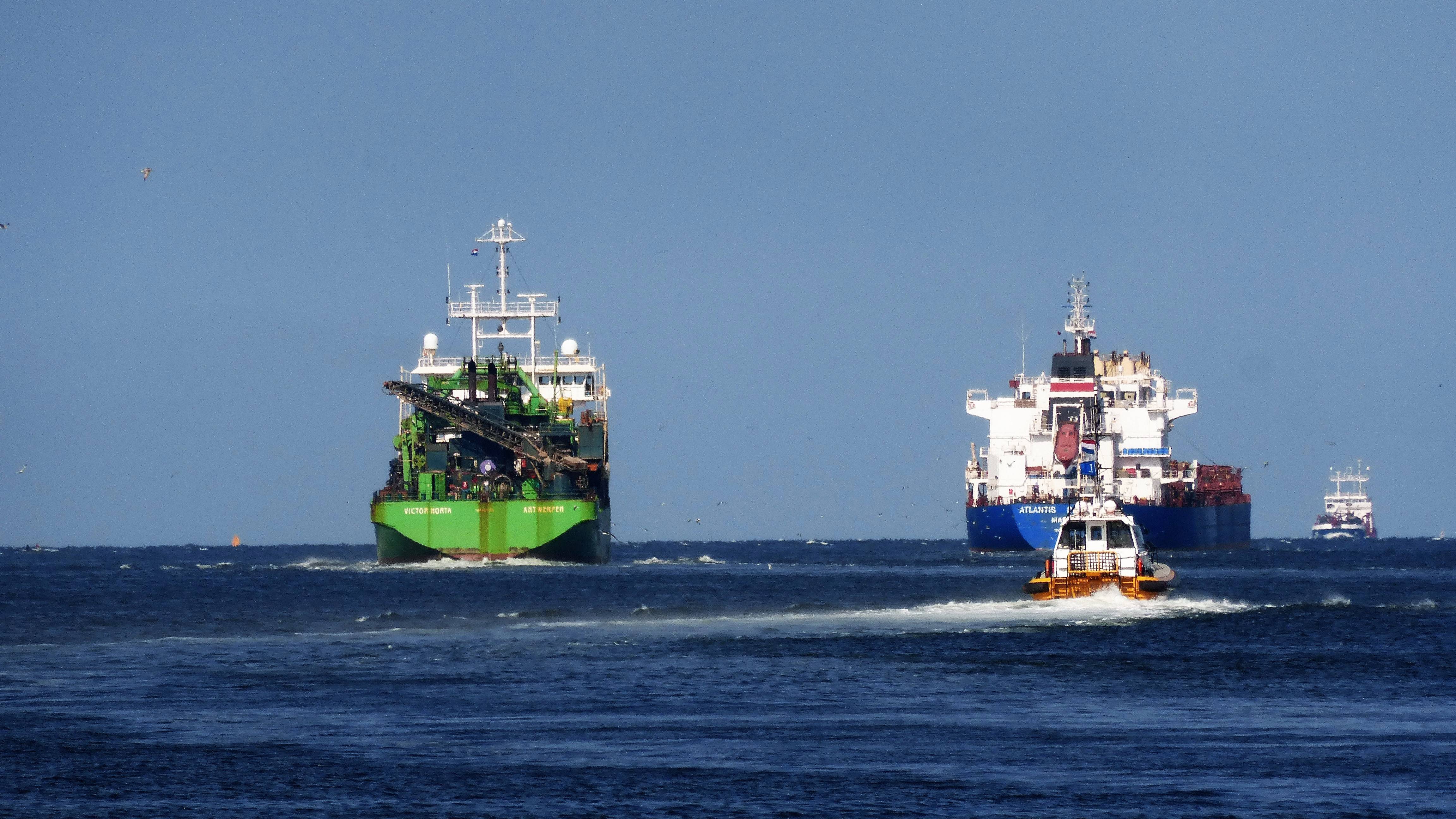 Pieren IJmuiden 21-07-18 